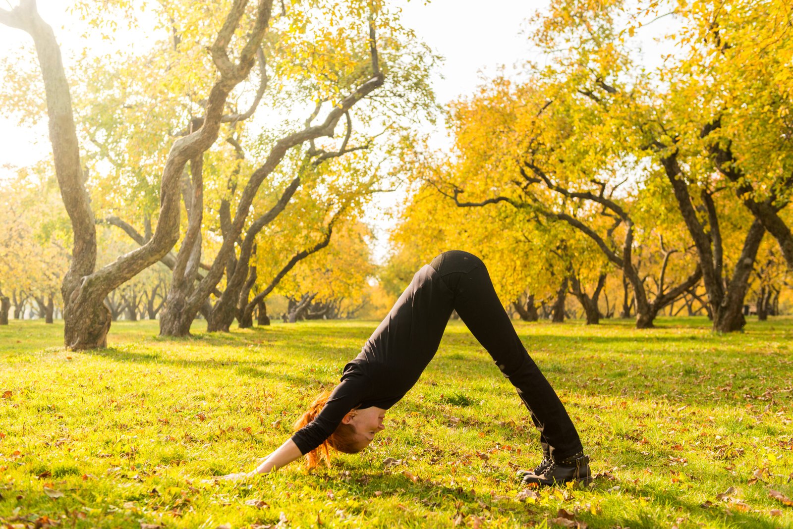 A woman doing yoga in an autumn park at sunrise, practicing the flow of Sun Salutation A on a yoga mat. Colorful autumn leaves surround her, and the golden morning light creates a peaceful and energizing atmosphere. The image should reflect the benefits of Sun Salutation A, symbolizing flexibility, strength, stress relief, and mind-body harmony